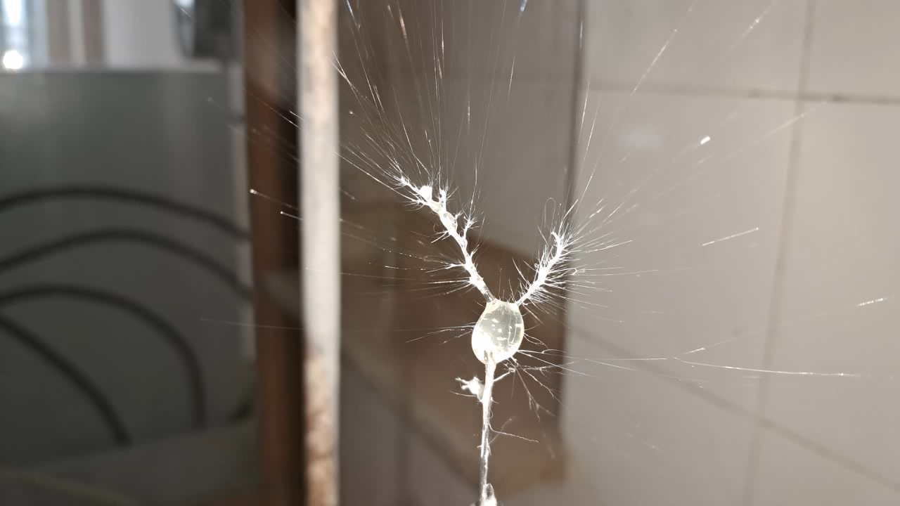 Electrospinning: Solution of Polystyrene in Methylene Chloride